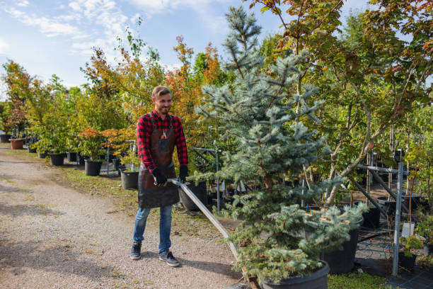 Best Seasonal Cleanup  in Whittier, CA